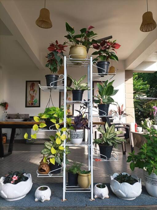 Almond Villa Find Your Paradise Alībāg Extérieur photo